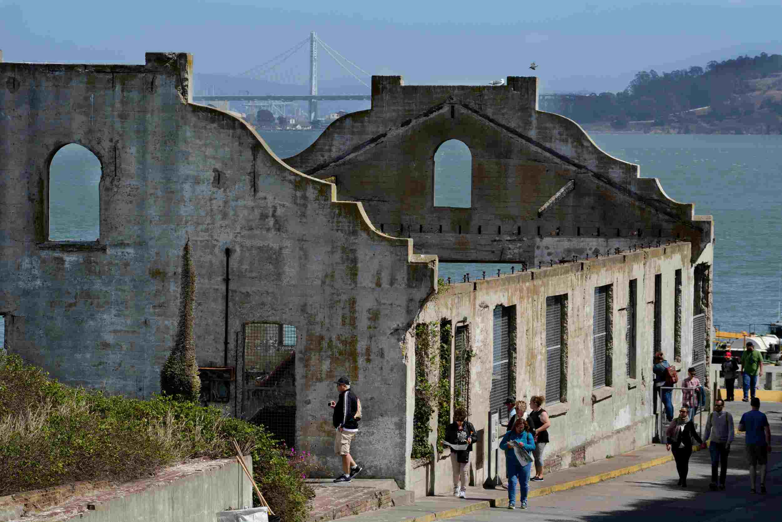 Alcatraz Island 